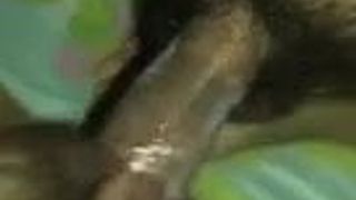 Desi sex