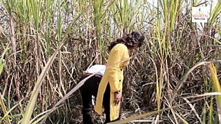 Ganne ke Khet Mein Romantic Love  Full Gandi Gandi Harkatei