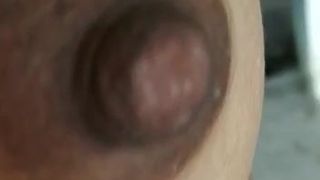 Indian boob and pussy