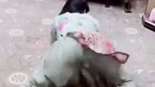 My Booty Ass Shake For You Horny Guys Ummmmuwah