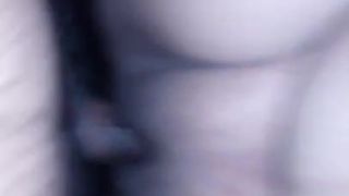 Pakistani