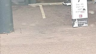 Palestinian girl has sex in the car with Pakistan boy