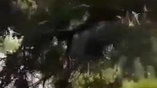 yashal khan porn video part 2