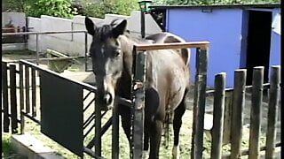 Blond bitch is fucked hard up the smelly door in outbuilding